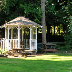 gazebo