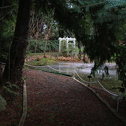 pond path